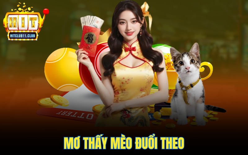 Mơ Thấy Mèo | Điềm Lành Hay Dữ - Con Số May Mắn Là Gì? 4 Mơ thấy mèo đuổi theo