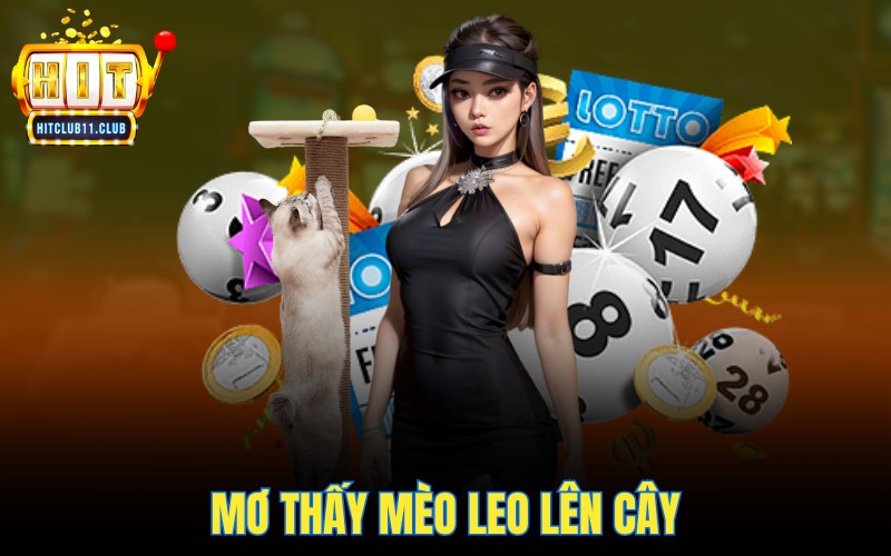 Mơ Thấy Mèo | Điềm Lành Hay Dữ - Con Số May Mắn Là Gì? 6 Mơ thấy mèo leo lên cây