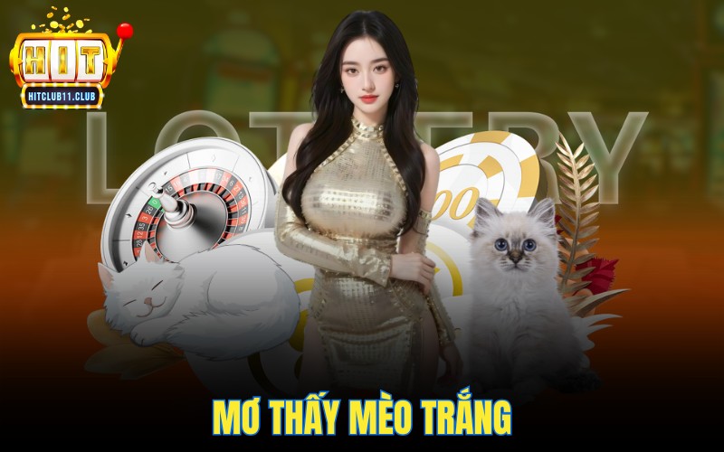 Mơ Thấy Mèo | Điềm Lành Hay Dữ - Con Số May Mắn Là Gì? 3 Mơ thấy mèo trắng