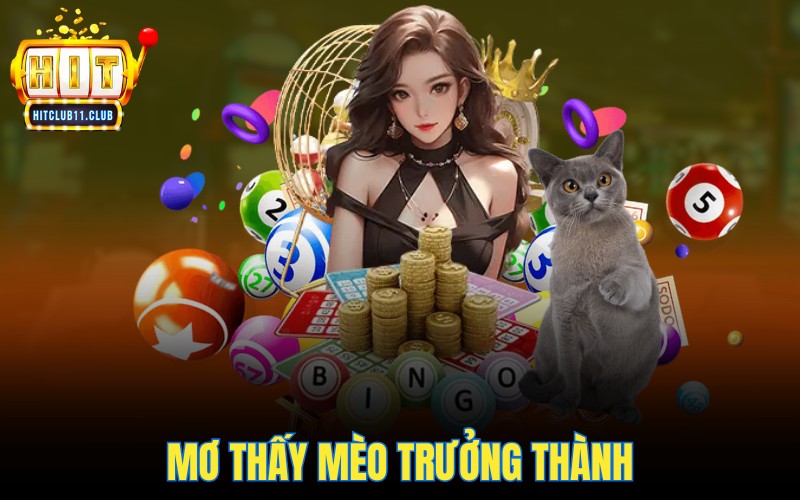 Mơ Thấy Mèo | Điềm Lành Hay Dữ - Con Số May Mắn Là Gì? 5 Mơ thấy mèo trưởng thành