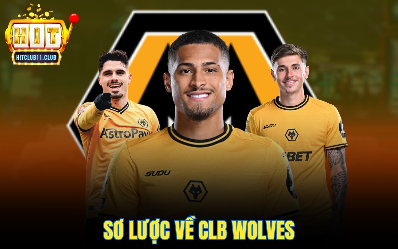 Đối Tác Hitclub | Đồng Hành Cùng CLB Wolves Tại Ngoại Hạng Anh 2 Sơ lược về CLB Wolves