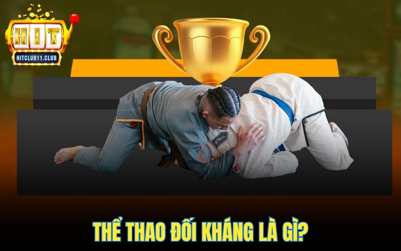 Thể Thao Đối Kháng HitClub | Tổng Hợp TOP Bộ Môn Hot Nhất 2 Thể thao đối kháng là gì?